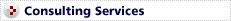 Consulting Service