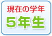 ���݂̊w�N�@5�N��