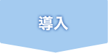 導入