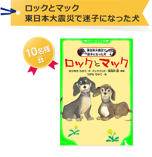 ロックとマック 東日本大震災で迷子になった犬（角川つばさ文庫）