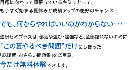 目標に向かって頑張っているキミにとって、もうすぐ始まる夏休みが成績アップの絶好のチャンス！でも、何からやればいいのかわからない・・・ 進研ゼミプラスは、部活や遊び・勉強など、全部譲れないキミに“この夏やるべき問題”だけにしぼった「総復習・おさらい問題集」をご用意。今だけ無料体験できます。