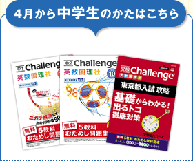 4璆ŵ͂