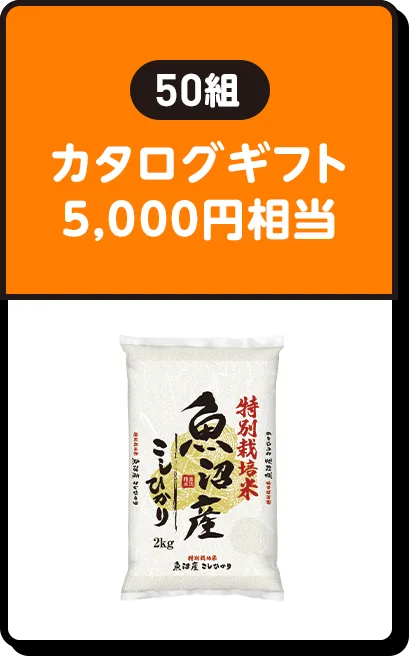 50組 | カタログギフト5,000円相当