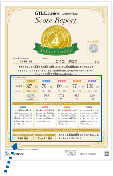 Junior Plus 受検者用 スコアレポート 表