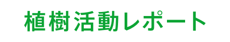 植樹活動レポート