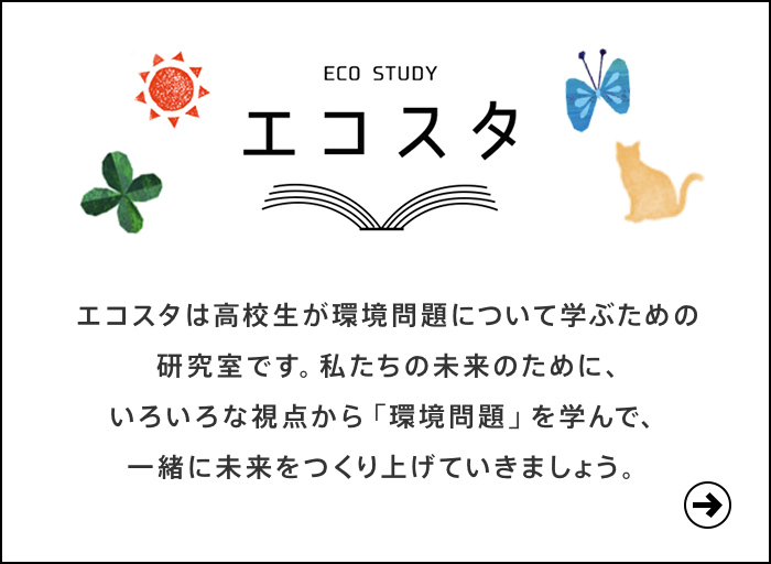 エコスタ