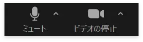マイク・ビデオの表示