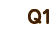 pP