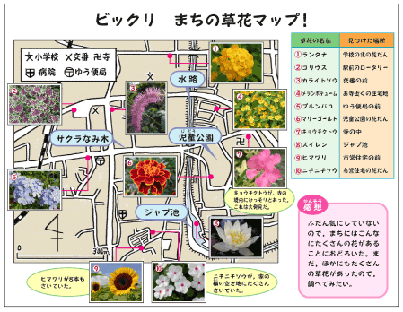 チャレンジウェブ 自由研究カンペキマスター 進研ゼミ小学講座