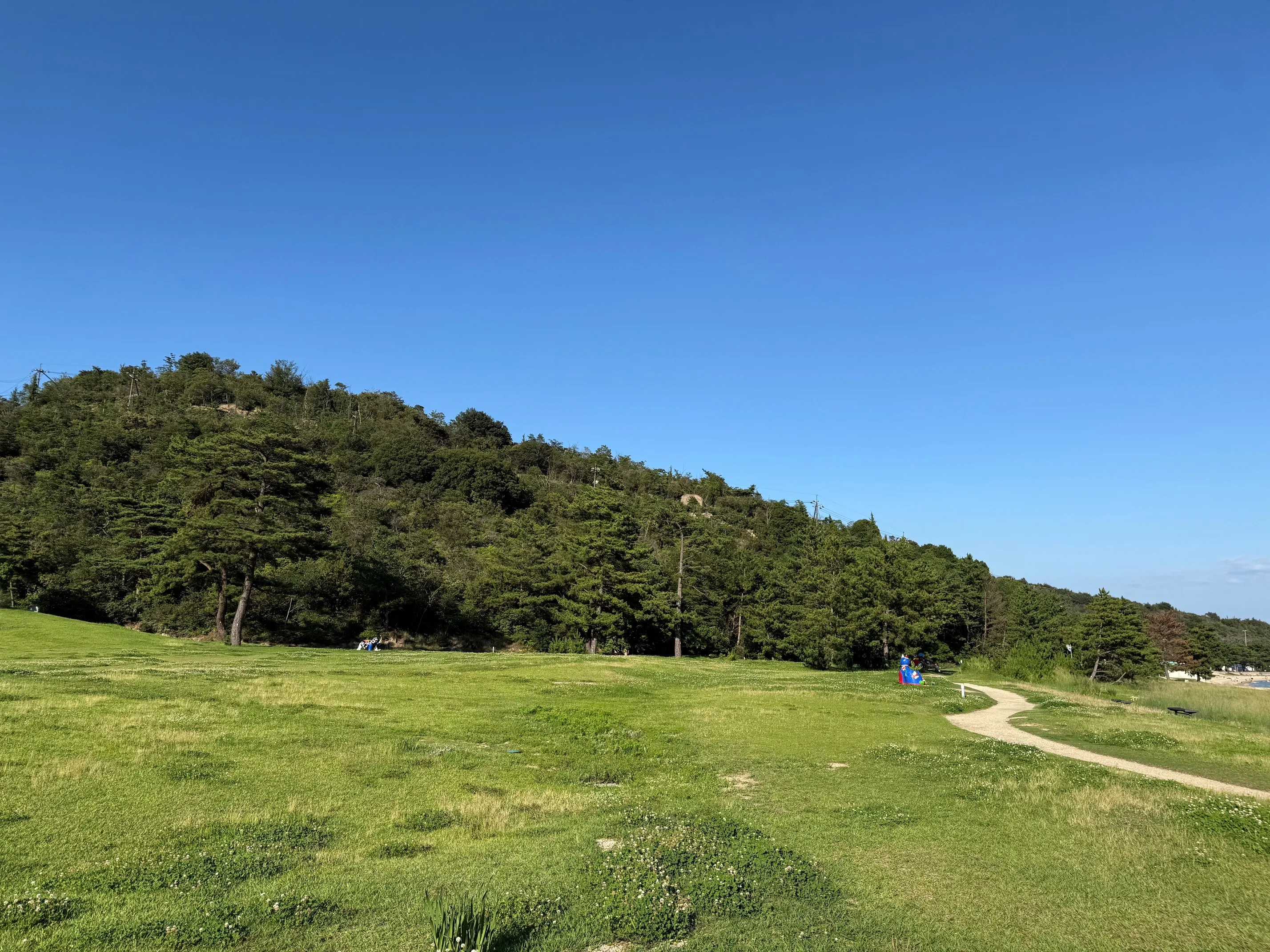 背景