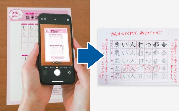 2週に1回 個別添削指導