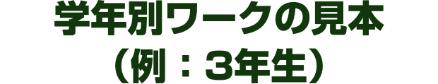 学年別ワークの見本（例：3年生）