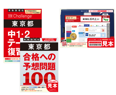 2018年4月から 一年間分  進研ゼミ 中学講座 中学三年生