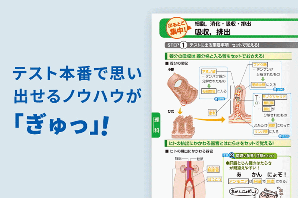 テスト本番で思い出せるノウハウが「ぎゅっ」！